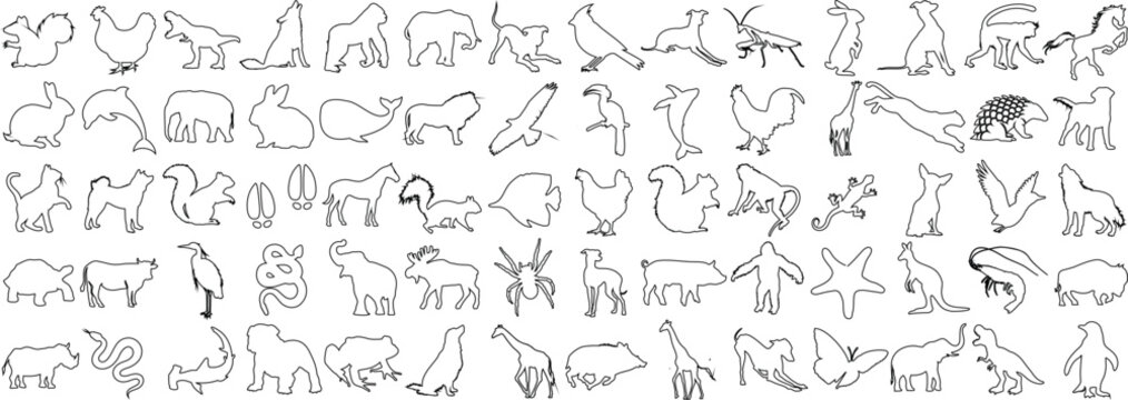animal line art collection. Perfect for logos, tattoos, wall art. Features elephant, deer, bear. Simplistic designs, black outlines on white background