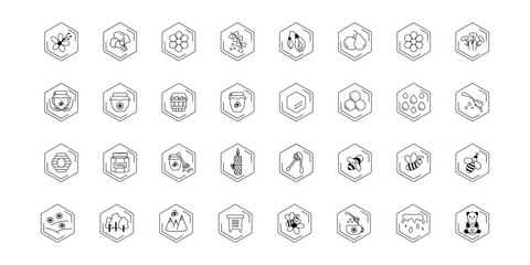 Honey icon set vector. Bee, flower, honey jar, spoon, bear, bee hive. Beekeeping products, symbols.