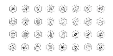 Honey icon set vector. Bee, flower, honey jar, spoon, bear, bee hive. Beekeeping products, symbols.