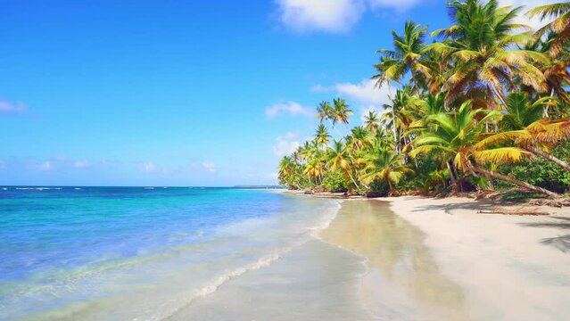 Malaysian beach and beautiful palm trees overlooking the Indian Ocean. Landscape of palm island. Marine background. Wave on the sand. A deserted wild beach on a paradise island. Copy space.