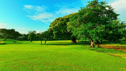 Grass lawn in tropical golf park and blue sky. Outdoor sport and lifestyle concept. Landscape of a golf course. Green lawn and beautiful views of nature.