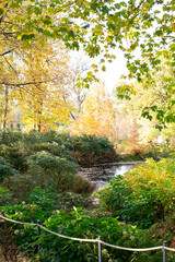 Fototapeta na wymiar view of an autumn park with a pond