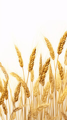 Golden wheat field on beige background
