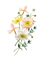 Fototapeta na wymiar Watercolor floral arrangement of pink Iceland poppy, white, yellow flowers, leaves isolated. Summer spring bouquet, botanical illustration for wedding invitation, card, fabric, decoration