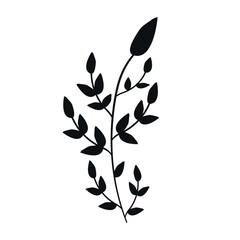 black plant vector illustration