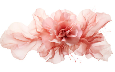 Blush Pink Rose Petal on white background - Powered by Adobe