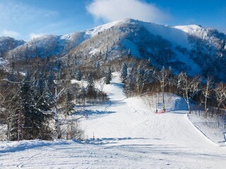 北海道・富良野のスキー場