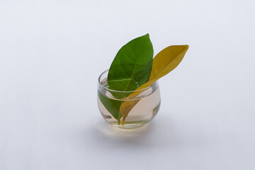 Bay leaf tea on white background, traditional medicine bay leaf
