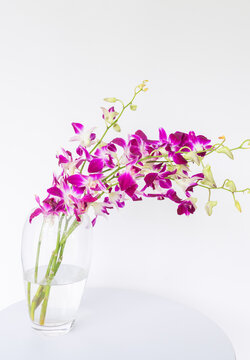 Vertical cose up of purple orchids in glass vase on white table against plain background (selective focus)