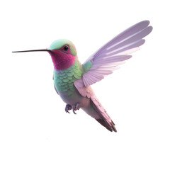 Anna's Hummingbird  Cartoon Character Illustration Art SVG Generative AI.
