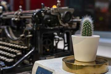 Fototapeta na wymiar Cactus in a pot on an old typewriter background.