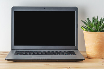 Fototapeta premium Laptop on a wooden table with a cactus plant. Home office concept.