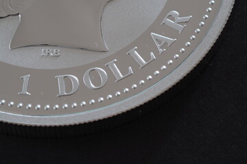 An Australian One Ounce Silver Dollar 2009 Kookaburra. Collectible Bullion precious metal shown by...