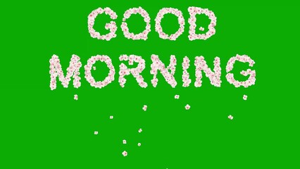 Good morning text with cherry flowers on green screen background