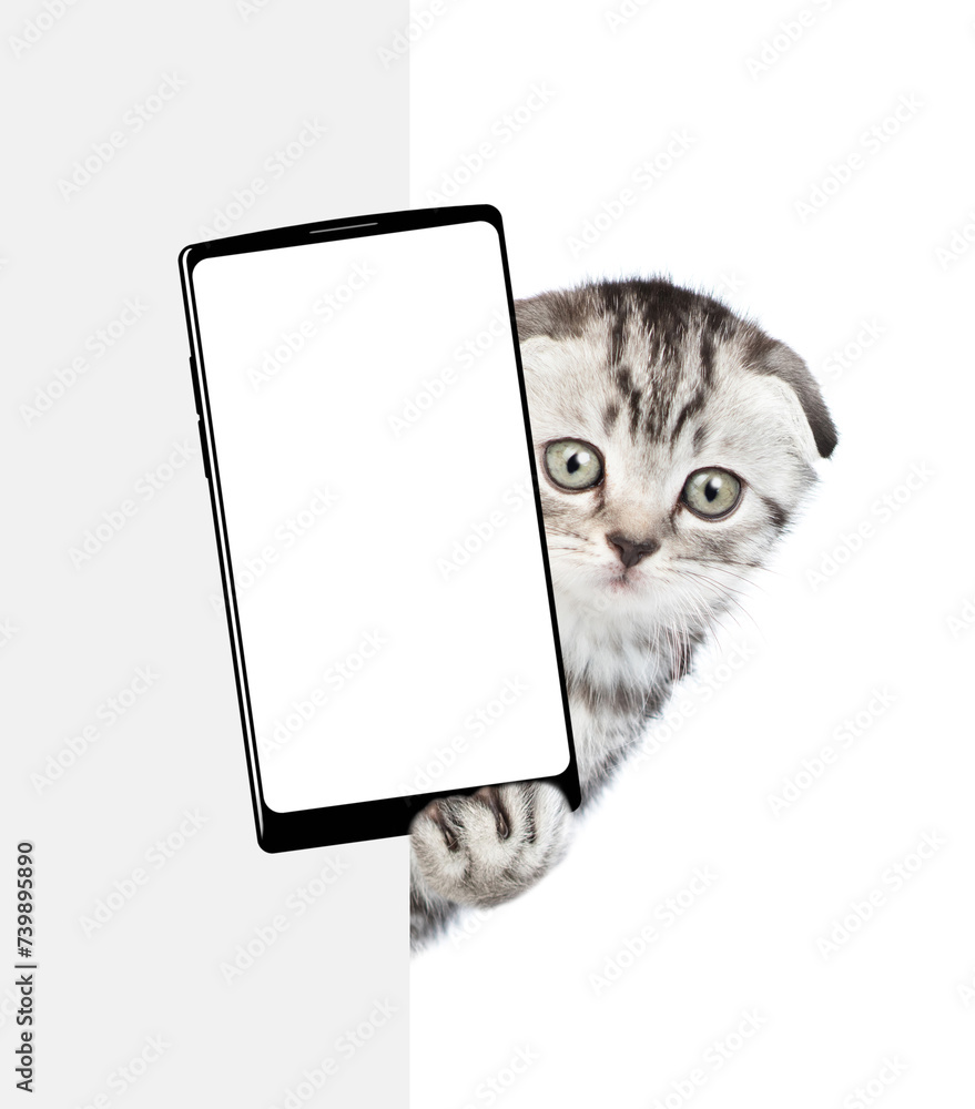 Poster cute cat looks from behind empty white banner and shows big smartphone with blank screen. isolated o