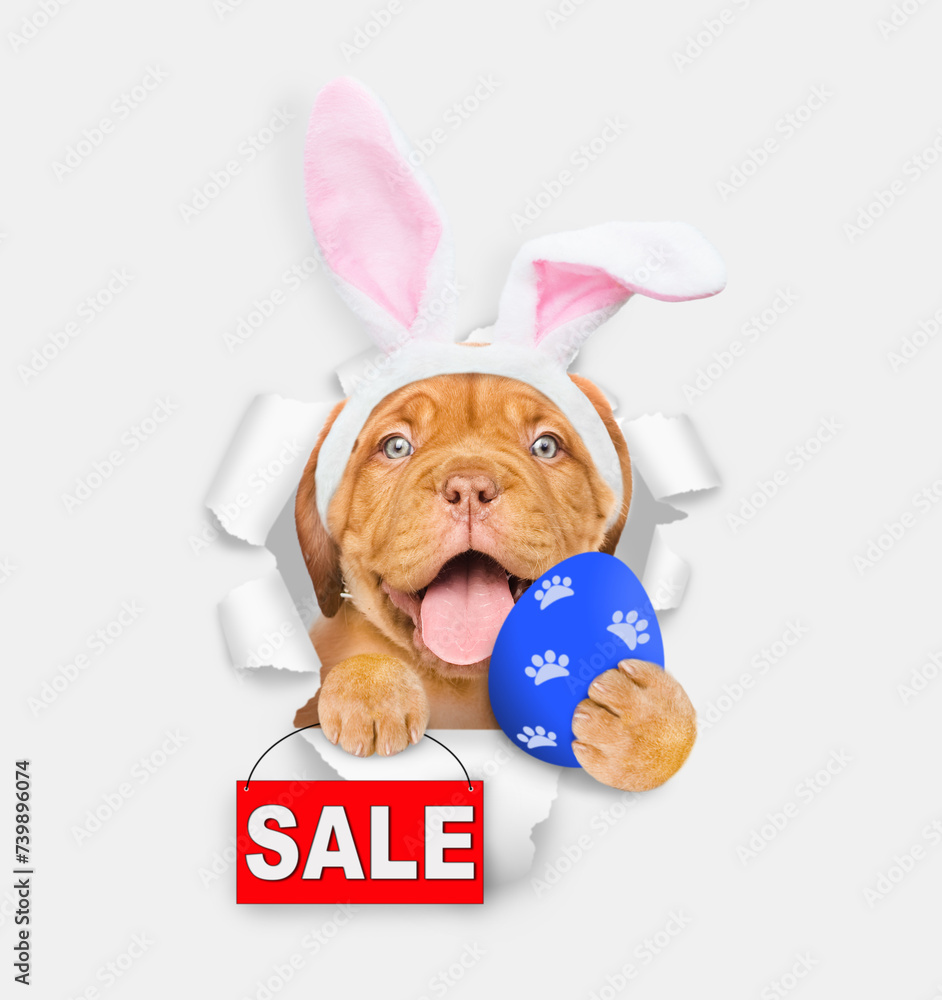 Aufkleber smiling mastiff puppy wearing easter rabbits ears holds painted egg and shows signboard with labeled