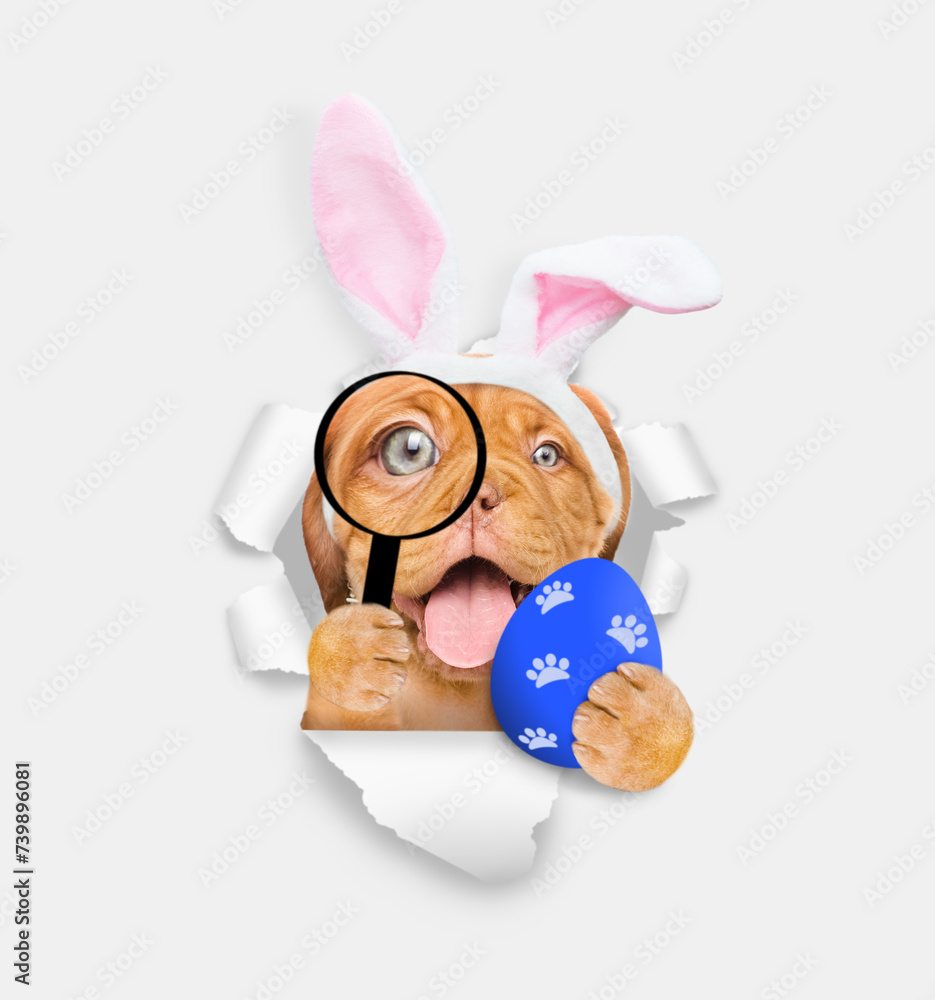 Poster smiling mastiff puppy wearing easter rabbits ears looks thru a magnifying lens looks through a hole 