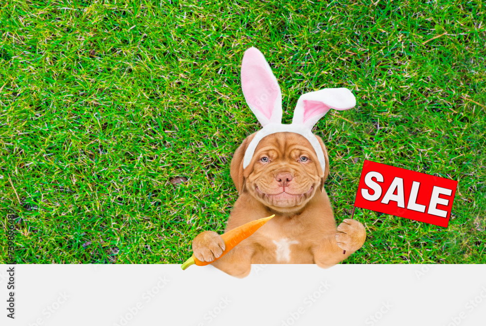 Aufkleber Smiling Mastiff puppy wearing easter rabbits ears holds carrot and shows signboard with labeled 