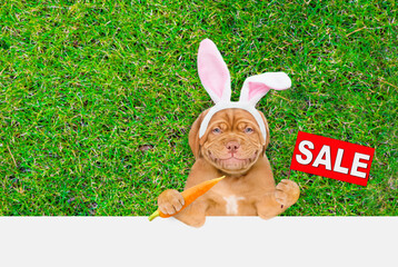 Smiling Mastiff puppy wearing easter rabbits ears holds carrot and shows signboard with labeled 