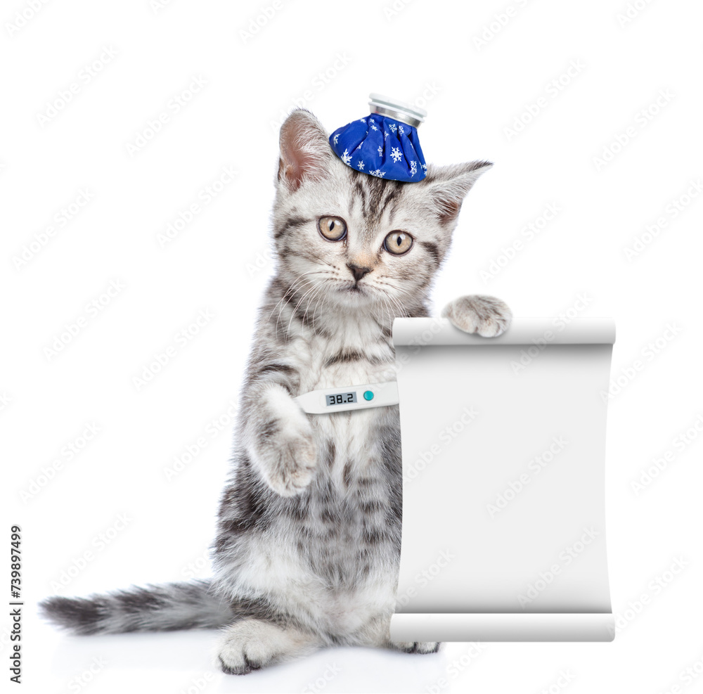 Poster sad sick kitten with ice bag or ice pack on his head holds a thermometer under the paw and shows emp