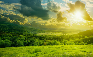 meadow, field, nature, sunset, grass, green, sun, landscape, summer, sunrise