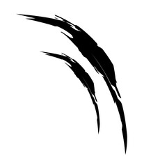 claw scratches icon