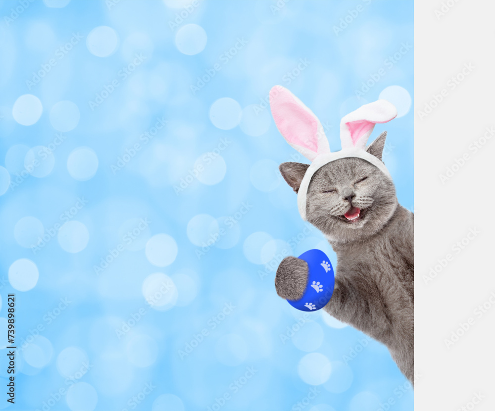 Poster happy kitten wearing easter rabbits ears holds colorful easter egg and looks from behind empty white