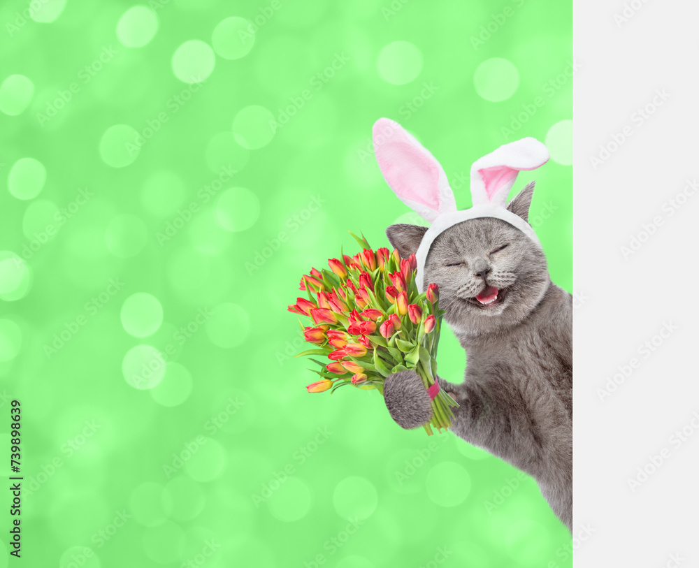 Poster happy kitten wearing easter rabbits ears holds holds bouquet of tulips and looks from behind empty w