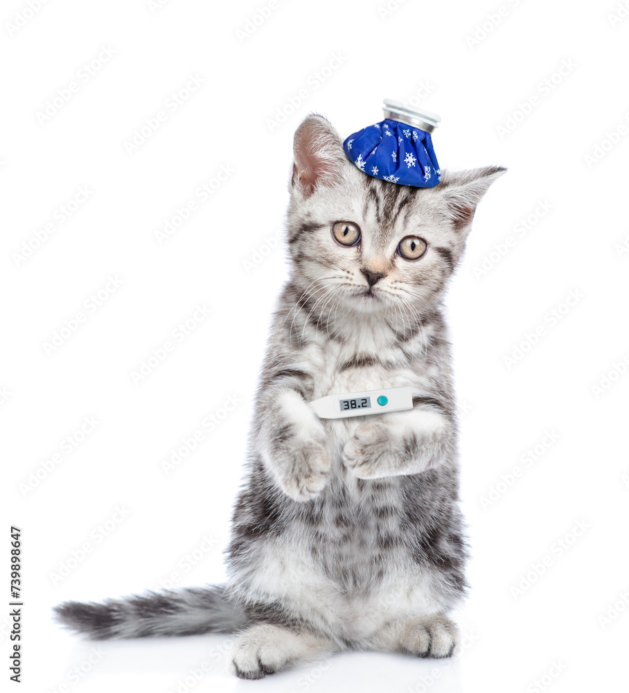 Aufkleber sad sick kitten with ice bag or ice pack on his head holds a thermometer under the paw and looks at 