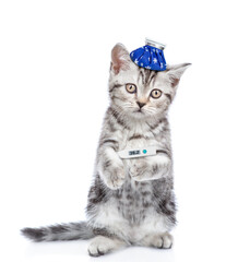 Sad sick kitten with ice bag or ice pack on his head holds a thermometer under the paw and looks at...