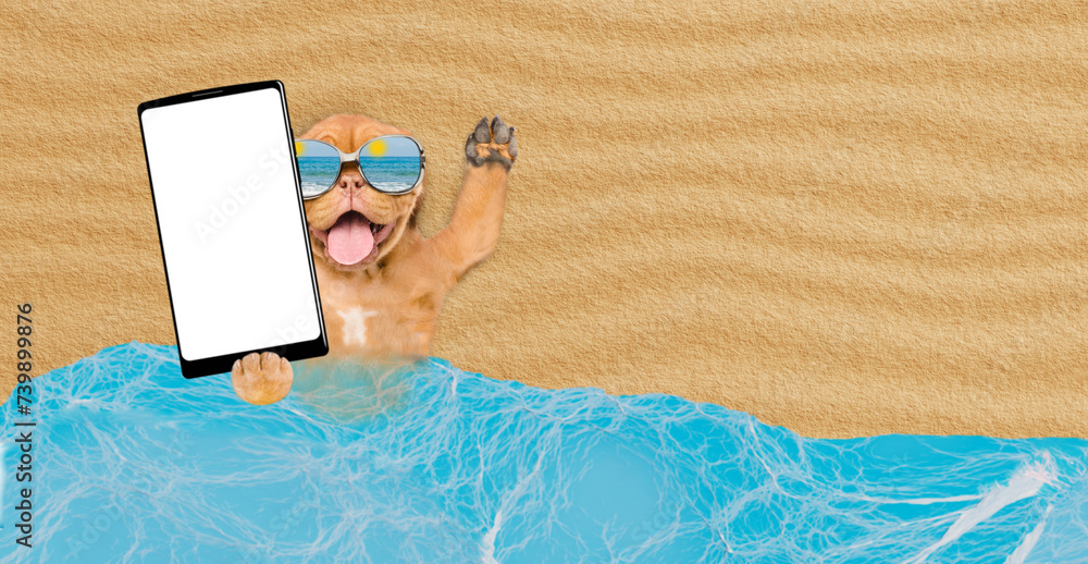 Poster Funny Mastiff puppy wearing mirrored sunglasses lying at beach and showing big smartphone with white blank screen in it paw. Empty space for text