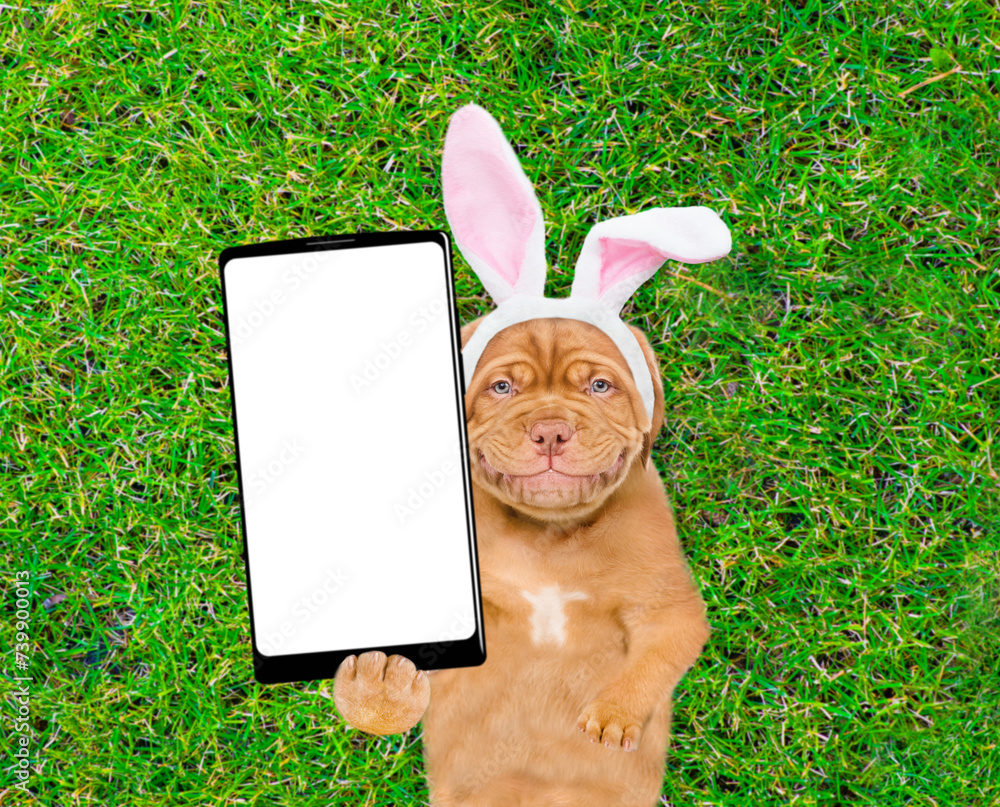 Aufkleber smiling mastiff puppy wearing easter rabbits ears holds big smartphone with white blank screen in it