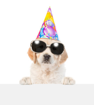 Golden retriever puppy wearing sunglasses and party cap looks above empty white banner. isolated on white background