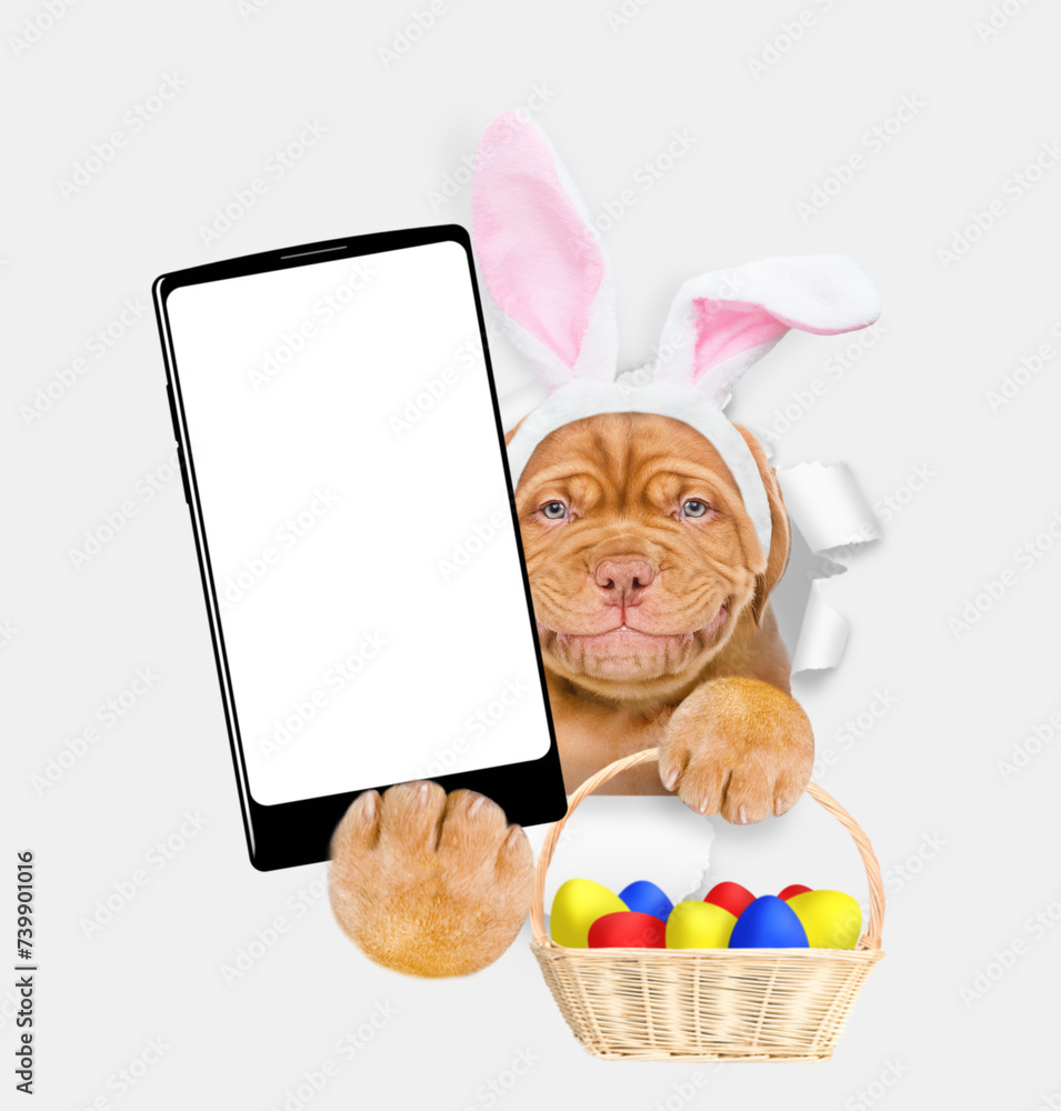 Poster smiling mastiff puppy wearing easter rabbits ears holds basket of painted easter eggs and big smartp