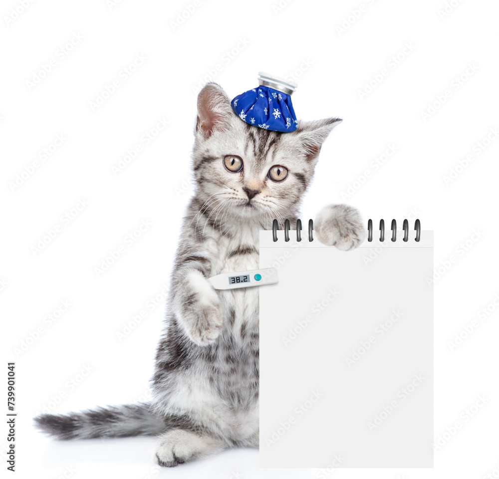Poster sad sick kitten with ice bag or ice pack on his head holds a thermometer under the paw and shows emp