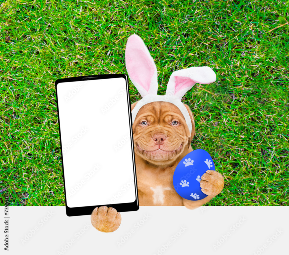Poster Smiling Mastiff puppy wearing easter rabbits ears holds big painted Easter egg and holds big smartphone with white blank screen in it paw above empty white banner.  Empty space for text