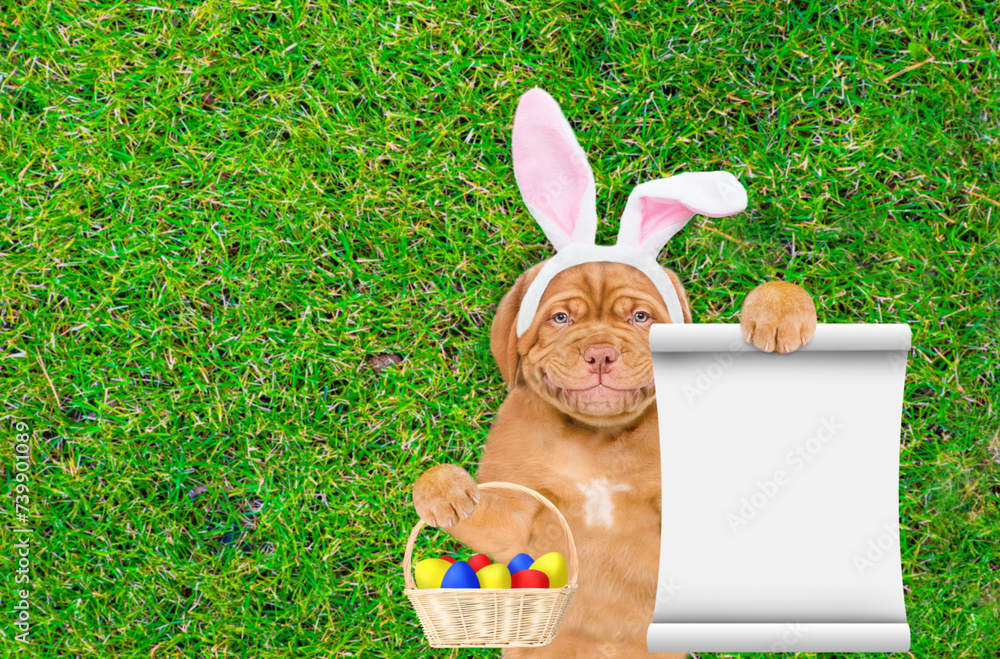 Poster smiling mastiff puppy wearing easter rabbits ears holds basket of easter eggs and shows empty list a
