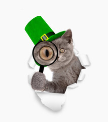 Saint Patricks Day concept. Cute kitten wearing a green leprechaun hat looks thru a magnifying lens peeks through a hole in white paper