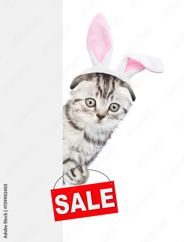 Poster tabby kitten wearing easter rabbits ears holds sales symbol behind empty white banner. isolated on w
