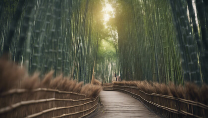 path through bamboo trees with sunlight
 - obrazy, fototapety, plakaty