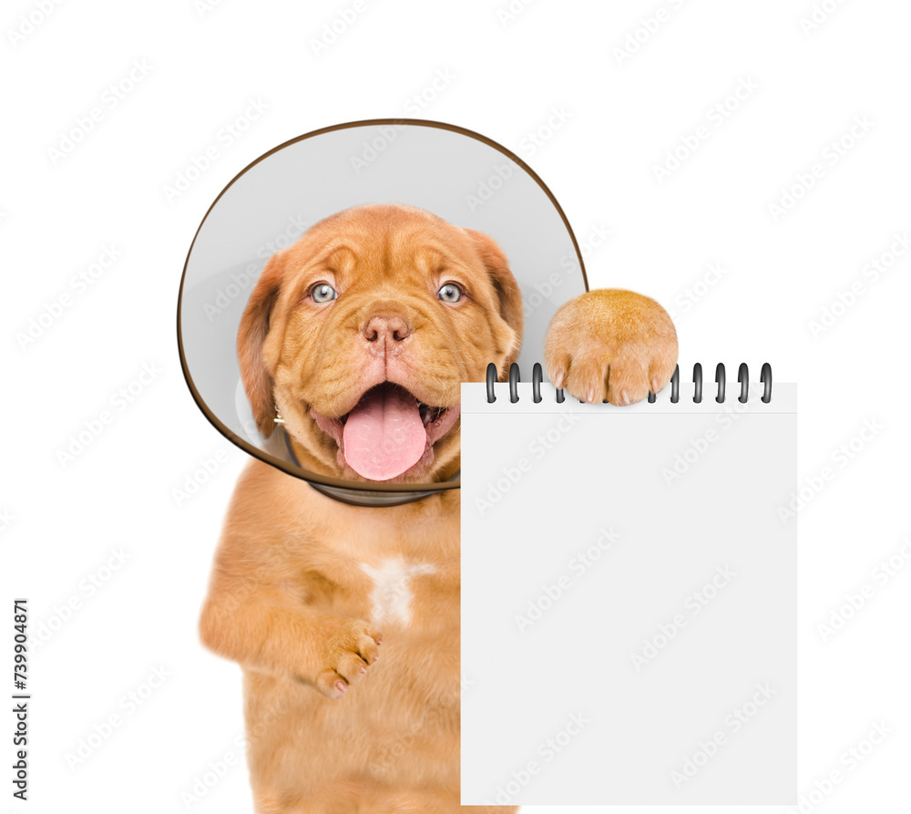 Poster happy sick mastiff puppy with protective cone collar on her neck shows empty list. isolated on white
