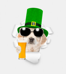 Saint Patrick's Day concept. Happy golden retriever puppy wearing sunglasses and hat of the...