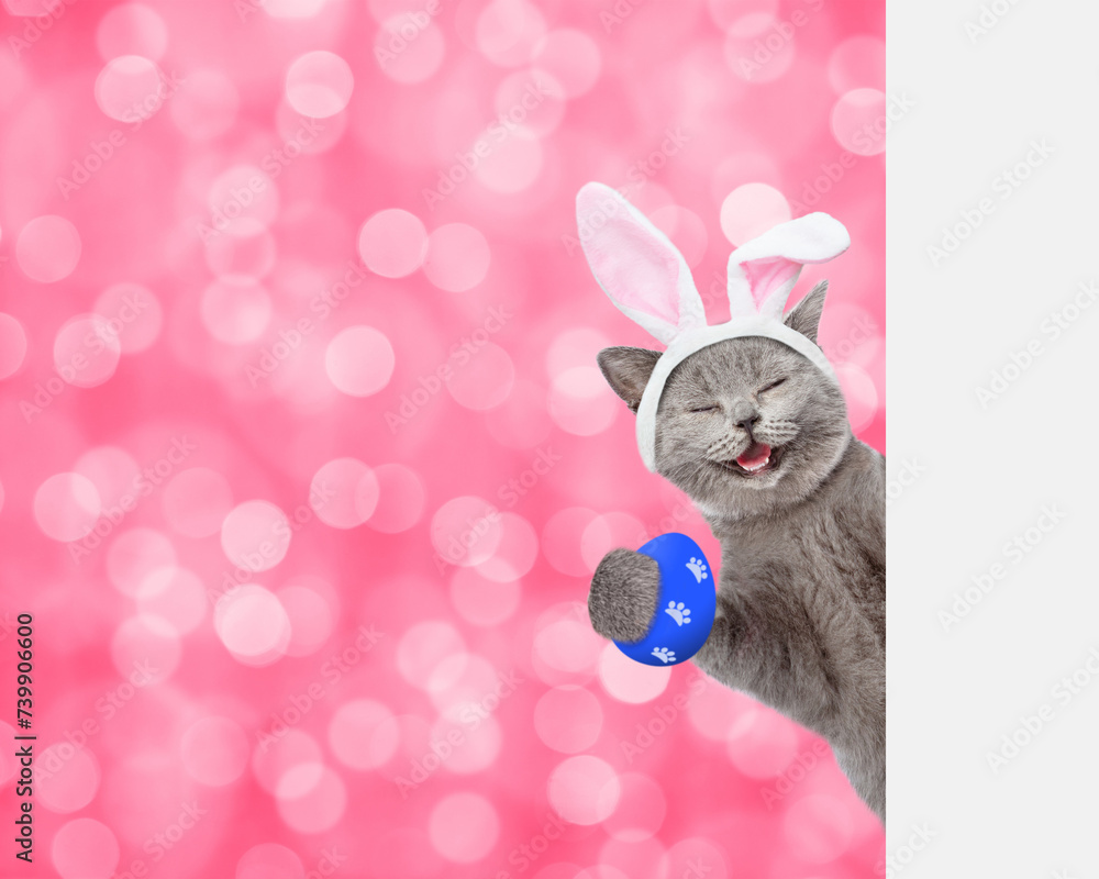 Aufkleber happy kitten wearing easter rabbits ears holds colorful easter egg and looks from behind empty white