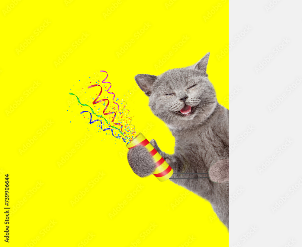 Aufkleber Happy cat holds exploding firecracker and looks from behind empty white banner. Isolated on yellow background