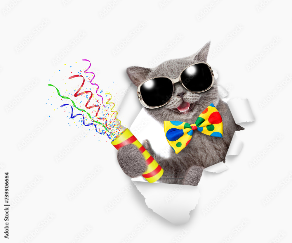 Poster Happy cat wearing tie bow and sunglasses looks through a hole in white paper holds exploding firecracker