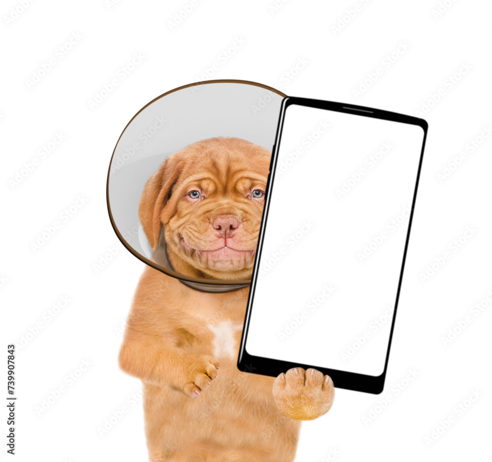 Poster smiling mastiff puppy with protective cone collar on her neck shows big smartphone with empty screen
