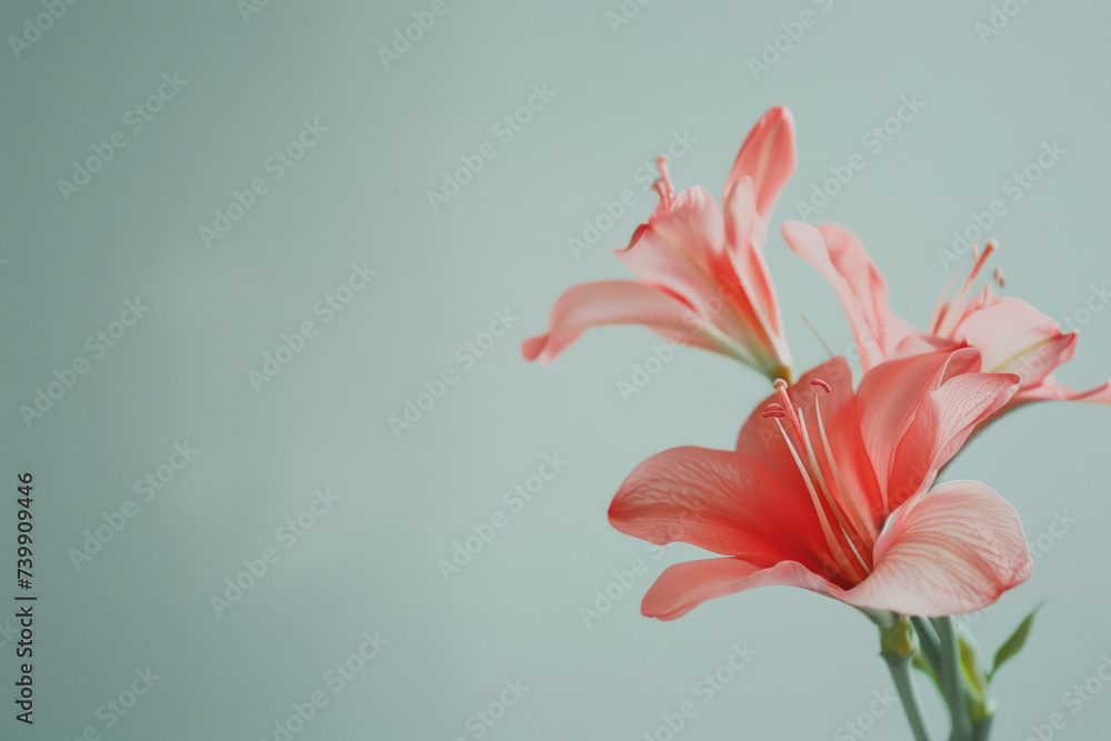 Poster a slide background for showcasing spring. background image. created with generative ai technology