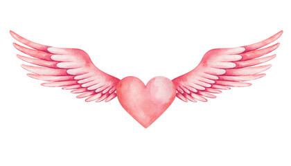 Watercolor illustration. Hand painted red heart with spread wings as angel. Cupid, cherub. Love symbol. Wings with feathers. Isolated clip art for wedding invitation. Love card for Valentine's Day