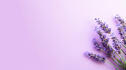 Minimalist blooming Lavender flower with leaf on soft purple pastel colors background with space for text created with Generative AI Technology