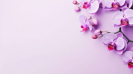 Fototapeta na wymiar Minimalist blooming purple Orchid flower on soft purple pastel colors background with space for text created with Generative AI Technology